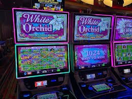 2888bet